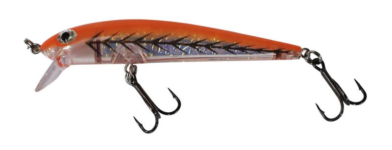Dreamweaver Bay Rat Short Shallow Orange Flash Tiger