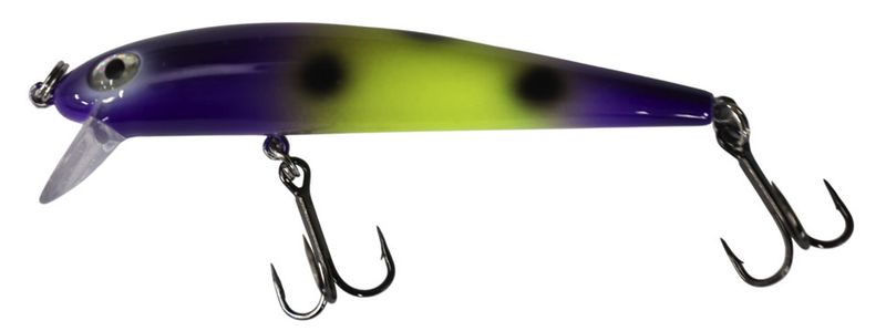 Dreamweaver Bay Rat Short Shallow Grape Frog