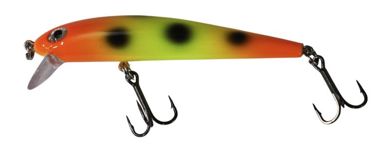 Dreamweaver Bay Rat Short Shallow Moldy Candy Corn