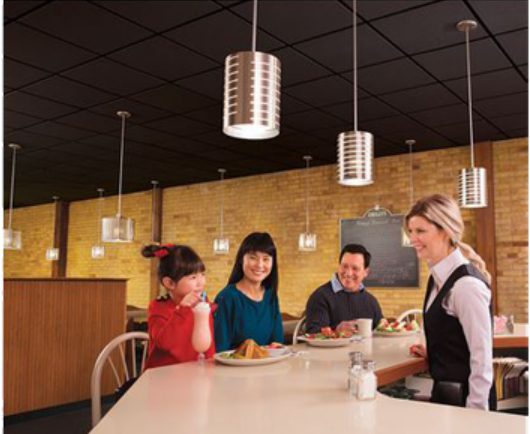 Hatco DL-1100 Heat lamp Standard retractable,  8-1/2&quot;H x 6-1/2
