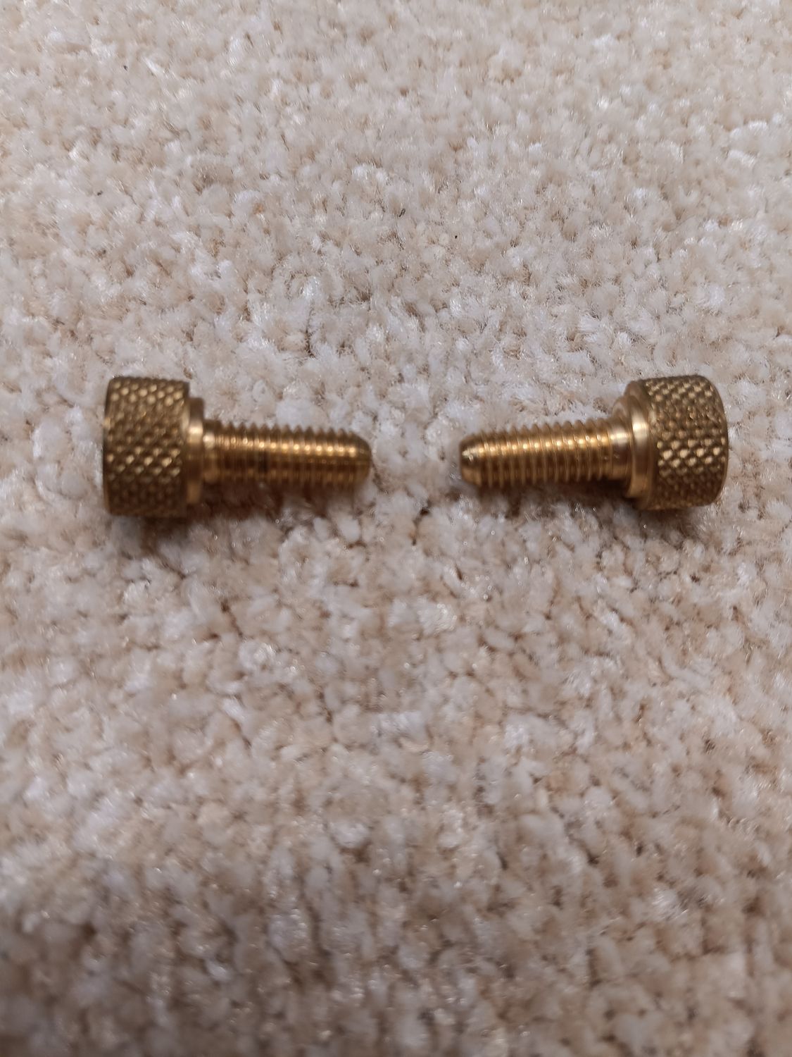 Replacement Brass Screws. For 5.5" Plastic Roller GS5. Set of 2 (PA5S)