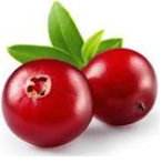 Berry:Cranberries