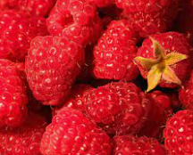 Berry:Raspberries