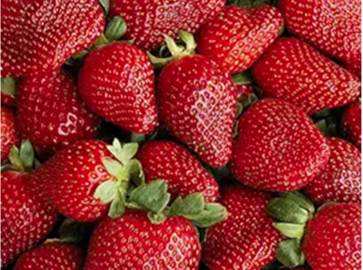 Berry:Strawberries