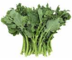 Broccoli:Rabe