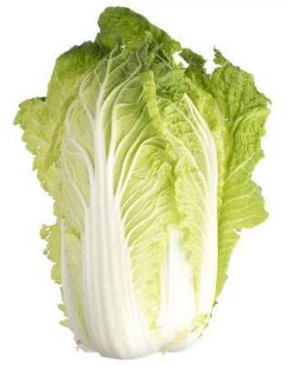 Cabbage:Napa