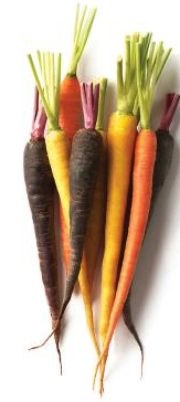 Carrot:Baby - HP - Rainbow