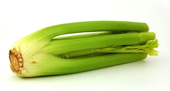 Celery:Cello
