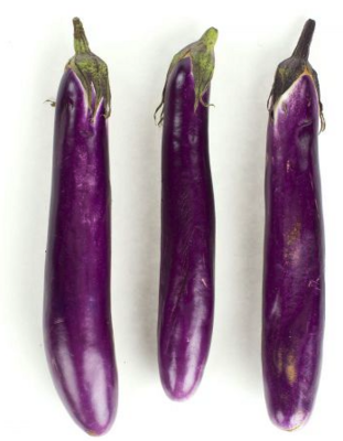 Eggplant:Japanese