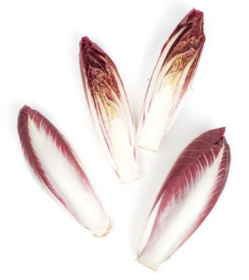 Endive:Red