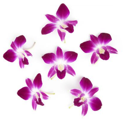 Flower:Edible Orchids
