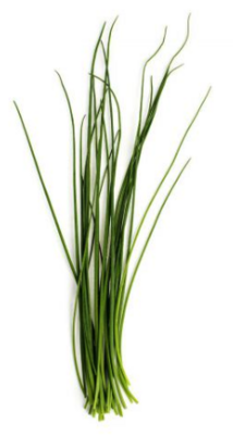 FRESH HERBS:Chives