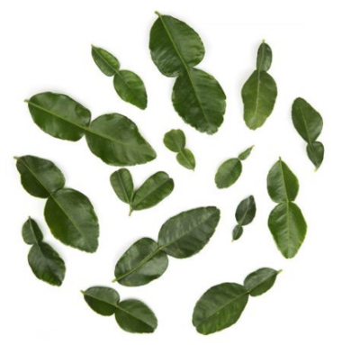 FRESH HERBS:Kaffir Lime Leaves