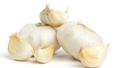 Garlic:30 lbs