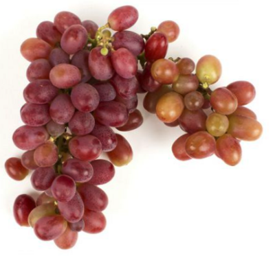 Grape:Red - Seedless