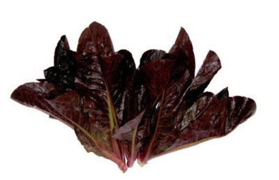 Lettuce:Baby Red Romaine