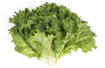 Lettuce:Greenleaf