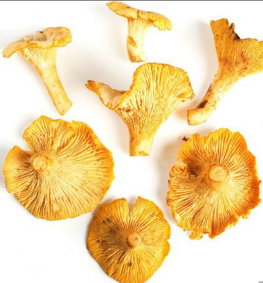 Mushroom:Chanterelle