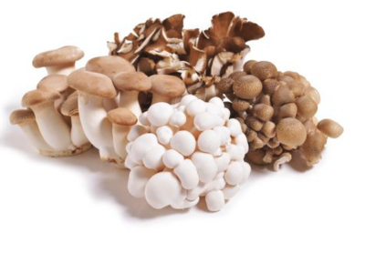 Mushroom:Organic Chef Mix