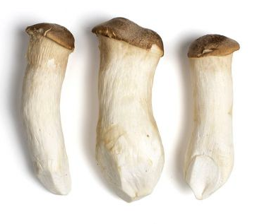 Mushroom:Royal Trumpet