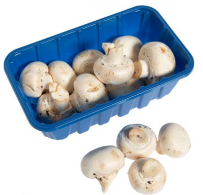 Mushroom:White - 8 oz