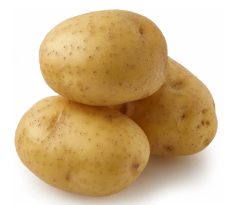 Potato:Yukon A (XL)