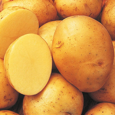 Potato:Yukon C