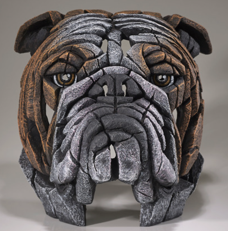 Edge Bull Dog Bust Sculpture
