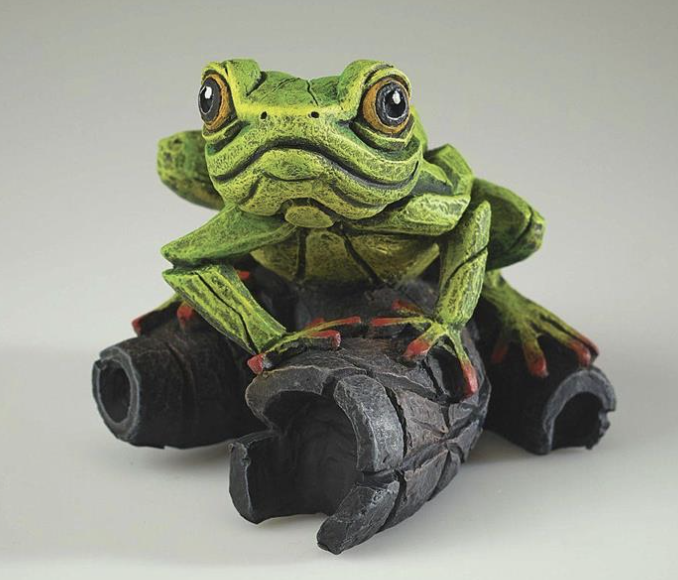 Edge Tree Frog