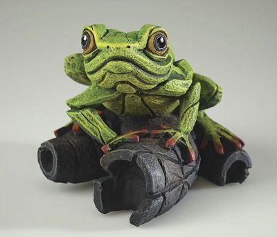 Edge Tree Frog