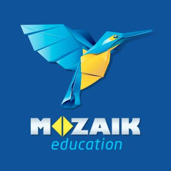 Licenza annuale di MozaIk per insegnanti