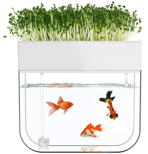 Acquario idroponico