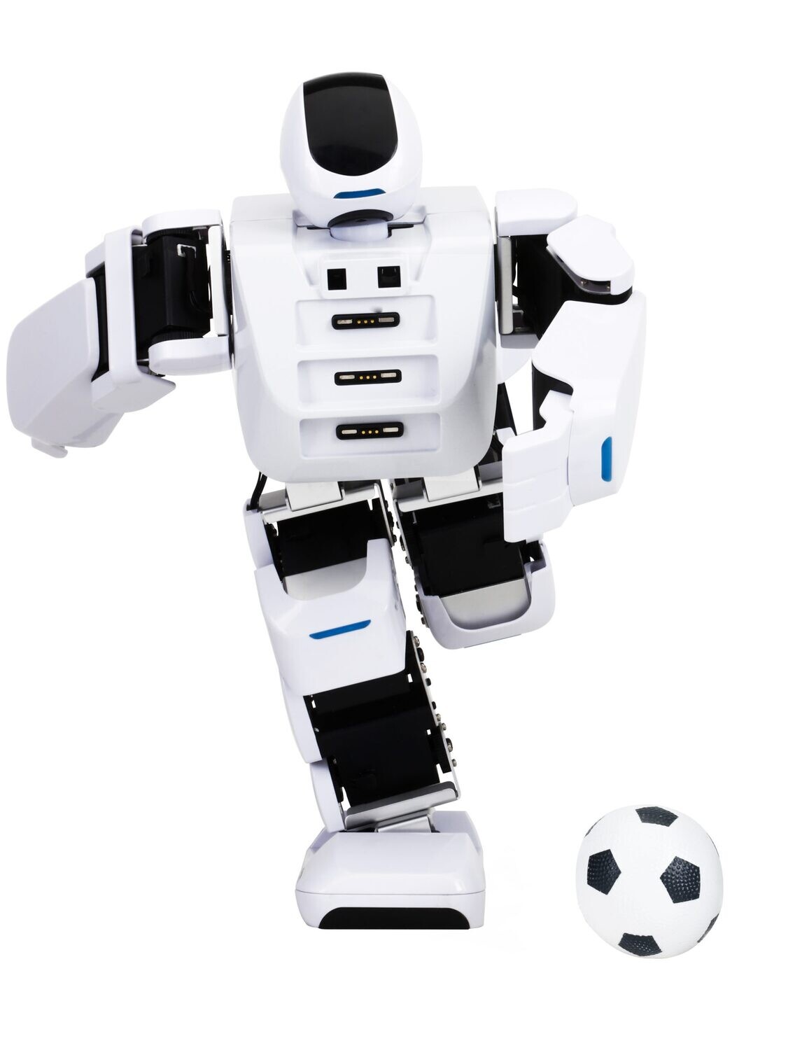 Eolo maestro di Coding 2 Robot Eolo Umanoide 6 sessioni di Tutoring da 45 minuti online