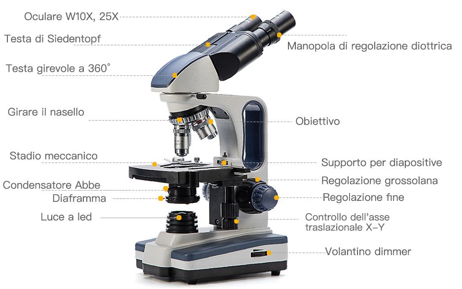 Microscopio SWIFT SW350B