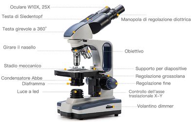 Microscopio SWIFT SW350B