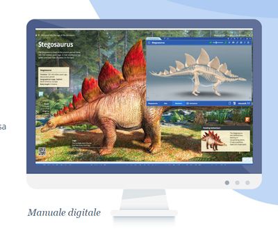 Licenza Mozaik Teacher 3 Anni