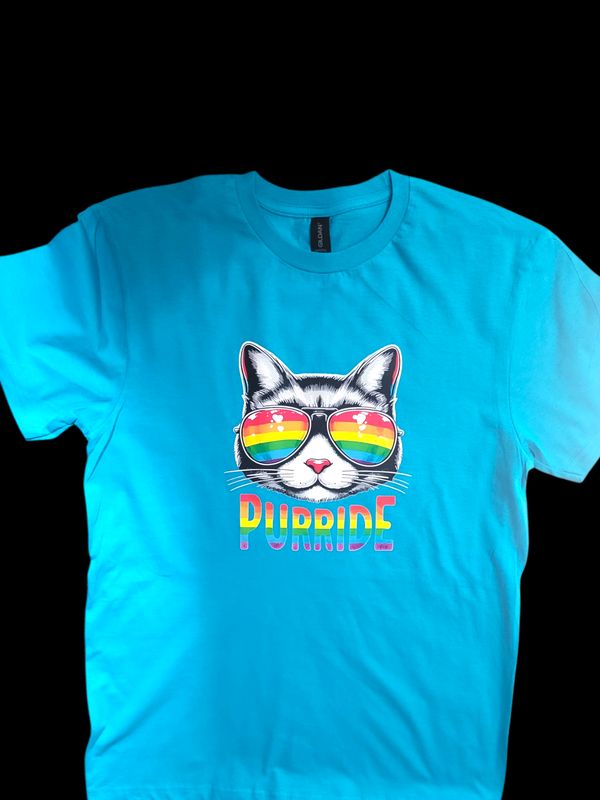 Feelin the Pride Unisex T Shirt