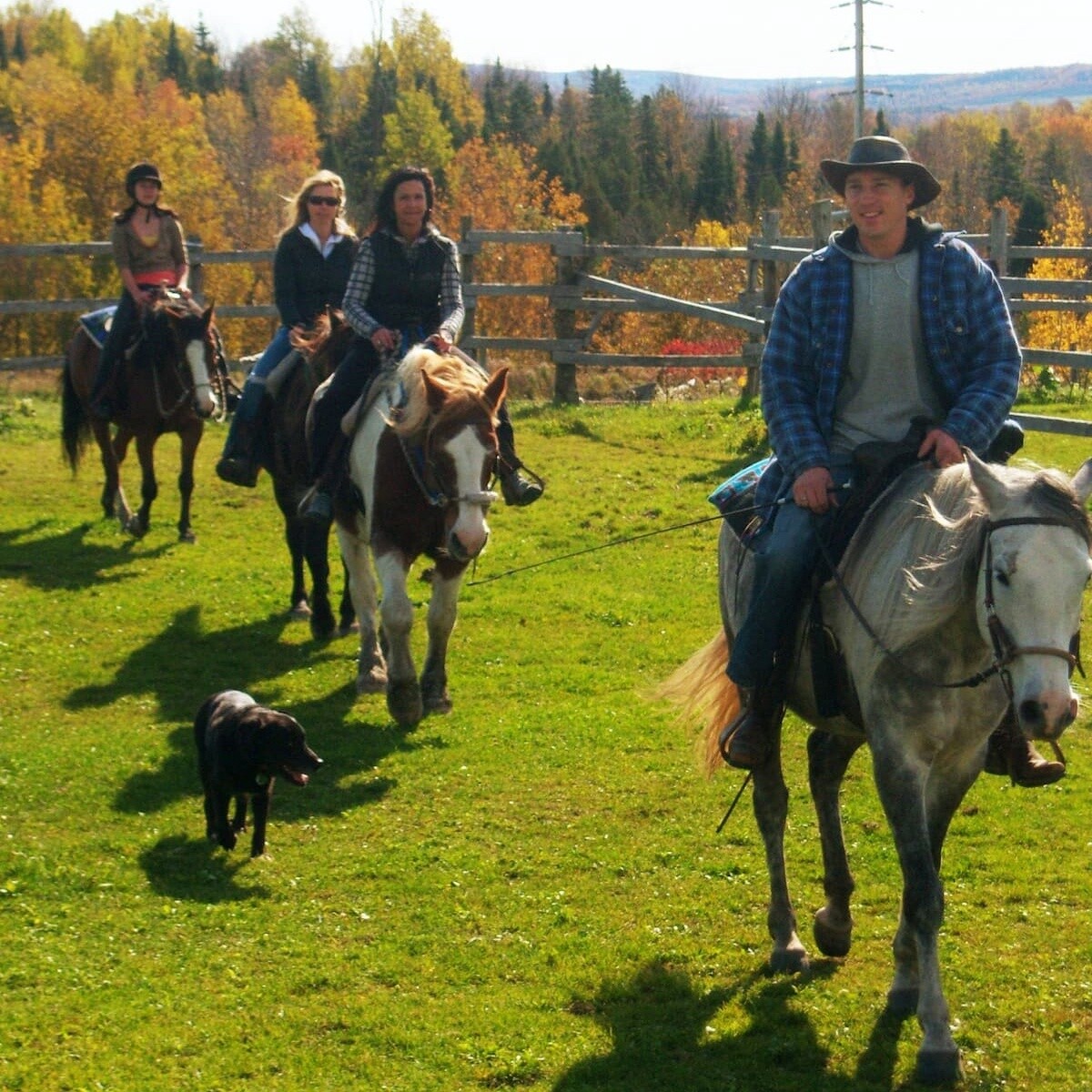 1h30 Appalachian Horseback Ride