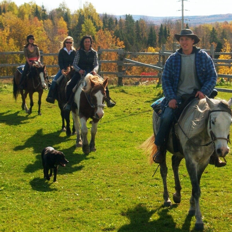 1h30 Appalachian Horseback Ride