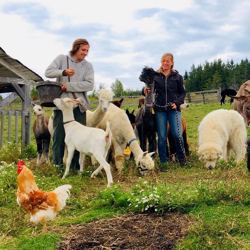 Guided tour of our educational farm