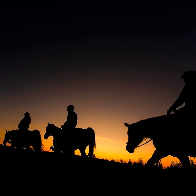 Horseback riding at sunset