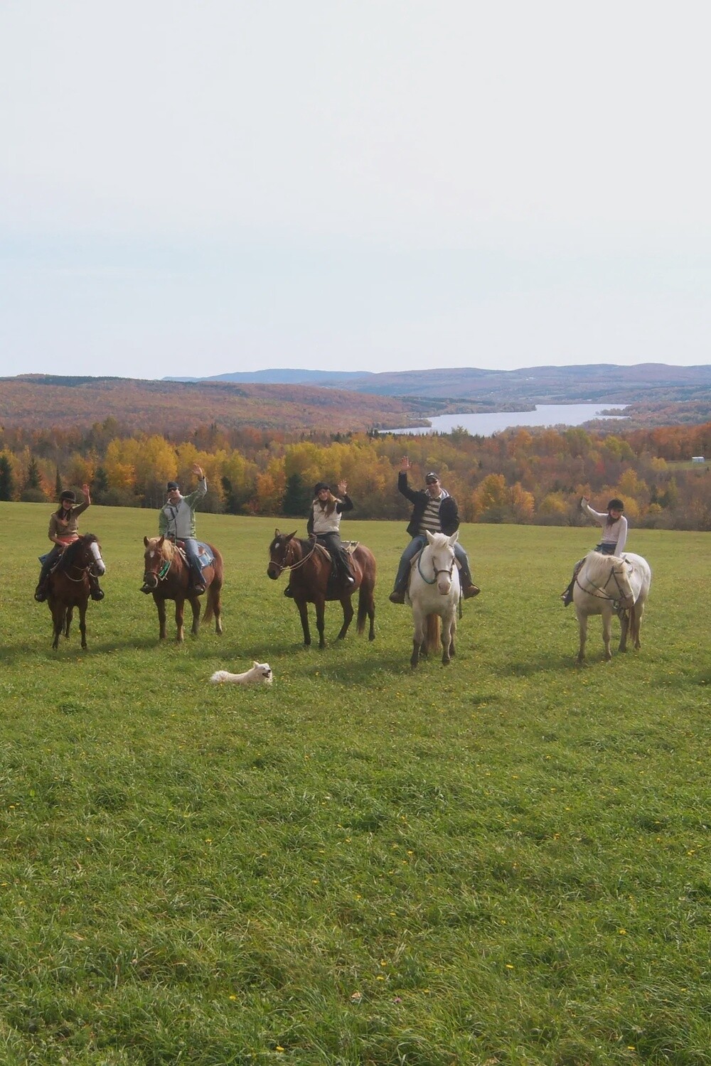 2h30 Appalachian Horseback Ride