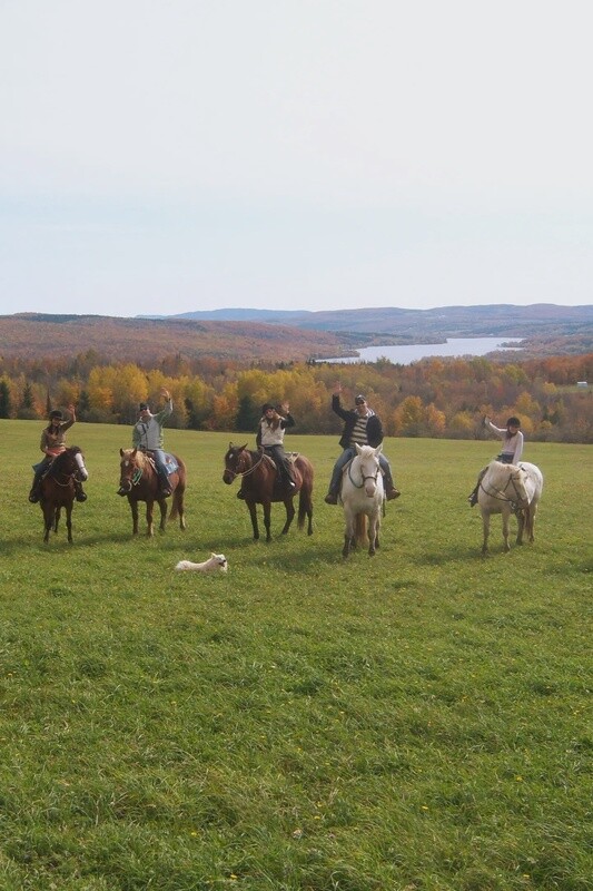 2h30 Appalachian Horseback Ride
