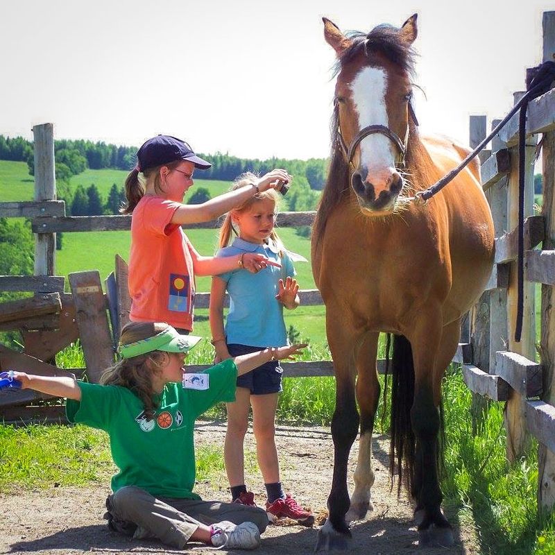 Horseback riding initiation (Kids from 5 to 13)