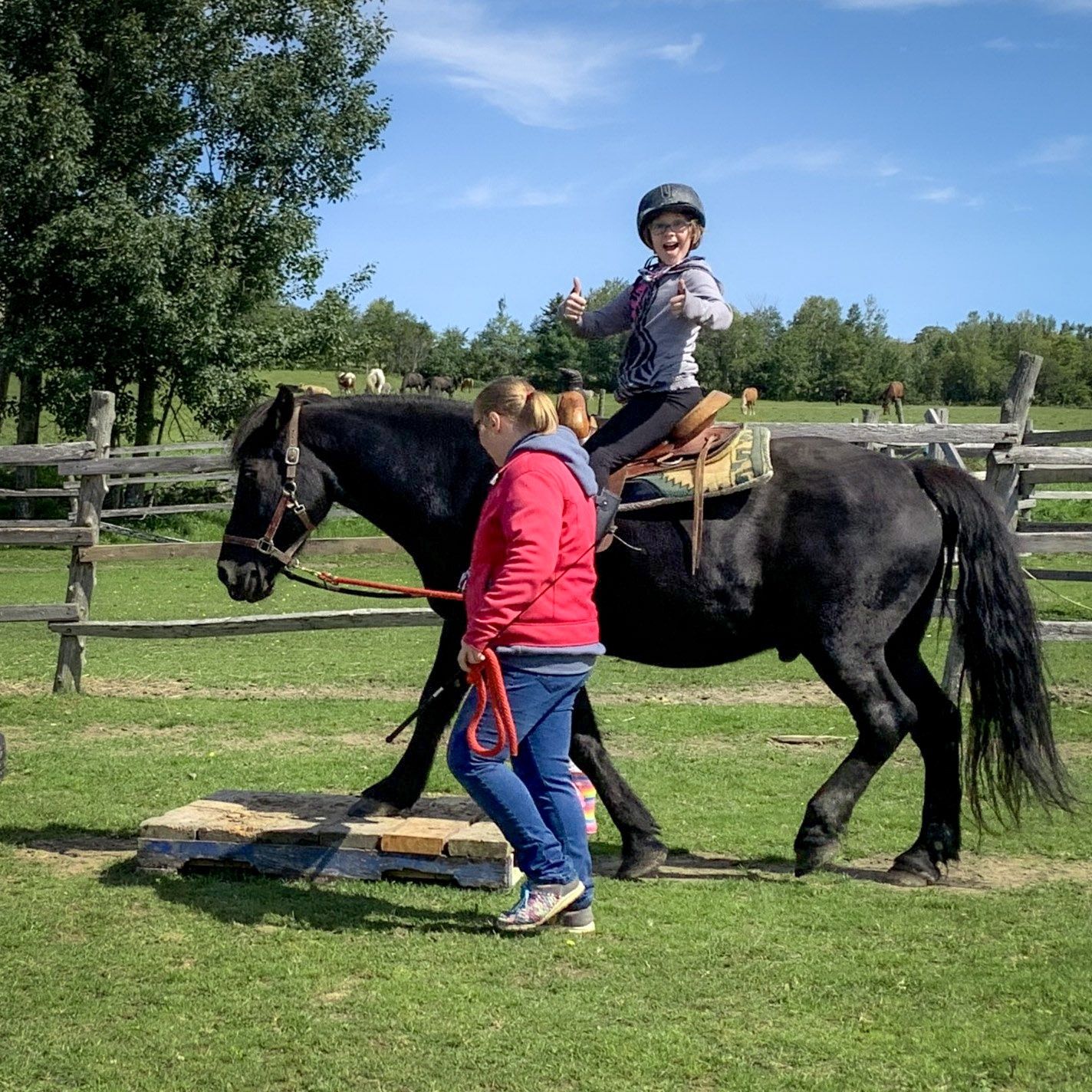 Horseback riding initiation (Kids from 5 to 13), Durée: 45 minutes