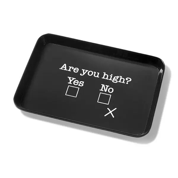 Small Trinket Tray • Are You High