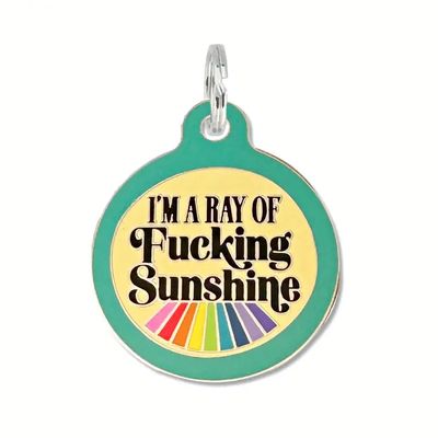 I'm A Ray of Fucking Sunshine - Dog Id Tag or Collar Charm