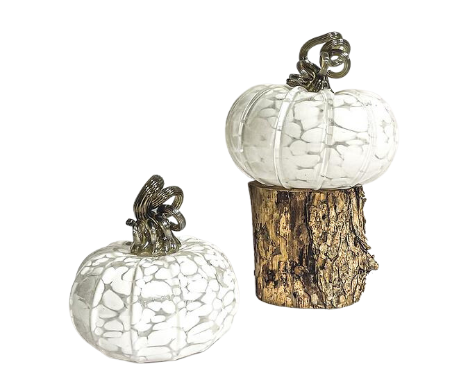 White Pumpkin