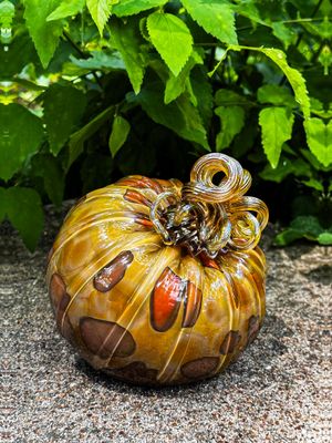 Matching Pumpkins #5