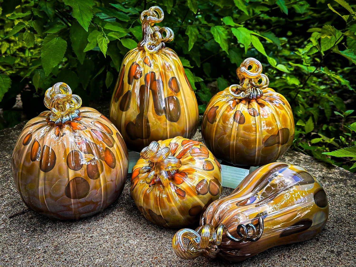 Matching Pumpkins Set